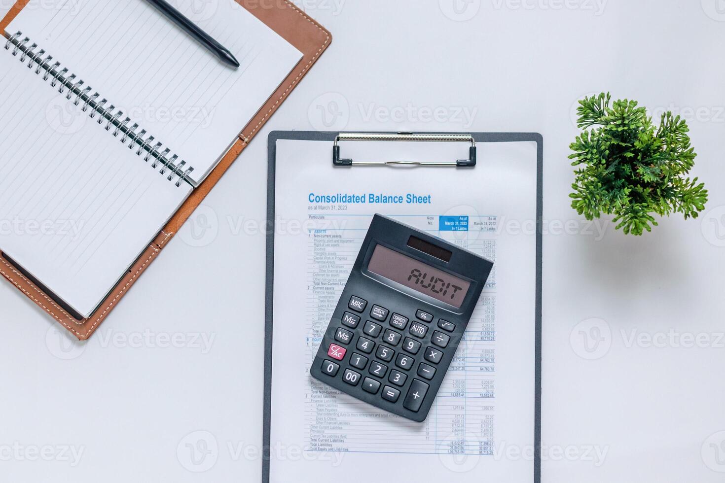 Audit and assurance services